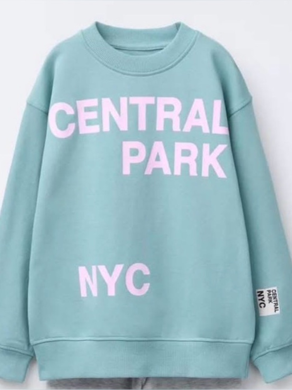 Zara Girls Crewneck Sweater with Pink 'Central Park NYC' Size 13-14